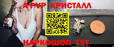 гашик Кизилюрт